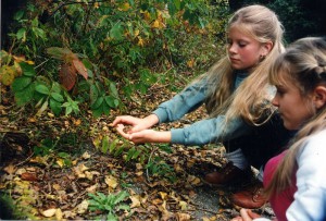 sabrina_seelig_frog